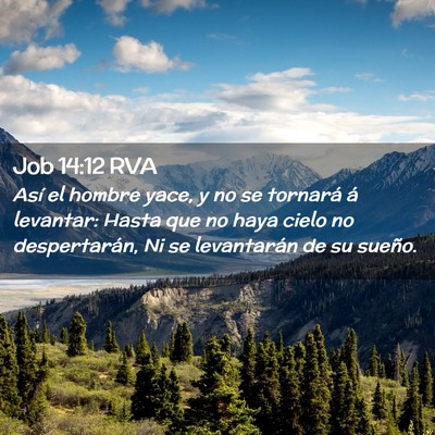 Picture 02 - Job 14:12 RVA - Así el hombre yace, y no se tornará á - Bible Verse Picture