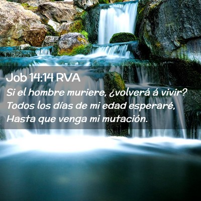Picture 02 - Job 14:14 RVA - Si el hombre muriere, ¿volverá á vivir? Todos - Bible Verse Picture