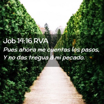 Picture 02 - Job 14:16 RVA - Pues ahora me cuentas los pasos, Y no das tregua - Bible Verse Picture