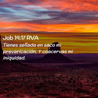 Picture 02 - Job 14:17 RVA - Tienes sellada en saco mi prevaricación, Y - Bible Verse Picture