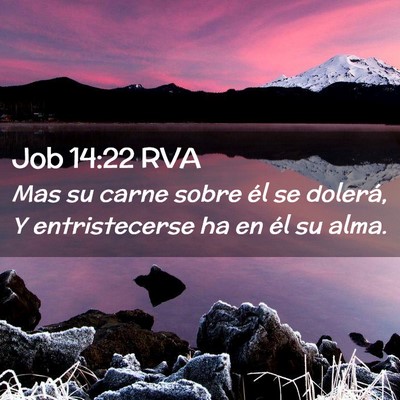 Picture 02 - Job 14:22 RVA - Mas su carne sobre él se dolerá, Y - Bible Verse Picture