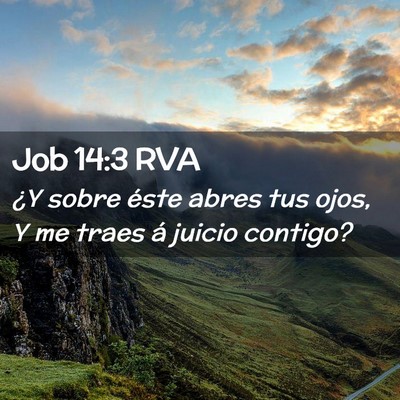 Picture 02 - Job 14:3 RVA - ¿Y sobre éste abres tus ojos, Y me traes á - Bible Verse Picture