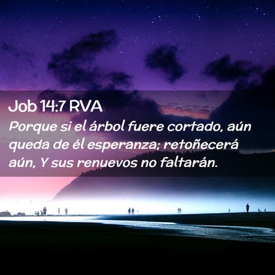 Picture 02 - Job 14:7 RVA - Porque si el árbol fuere cortado, aún queda de - Bible Verse Picture