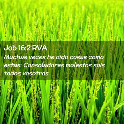 Picture 02 - Job 16:2 RVA - Muchas veces he oído cosas como estas: - Bible Verse Picture