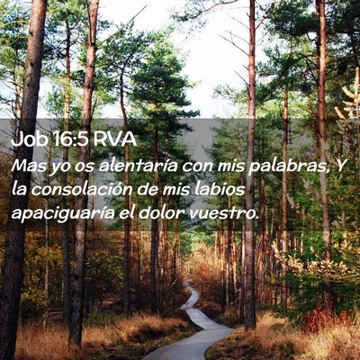 Picture 02 - Job 16:5 RVA - Mas yo os alentaría con mis palabras, Y la - Bible Verse Picture