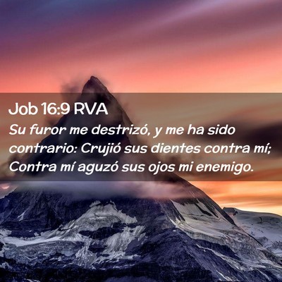 Picture 02 - Job 16:9 RVA - Su furor me destrizó, y me ha sido contrario: - Bible Verse Picture