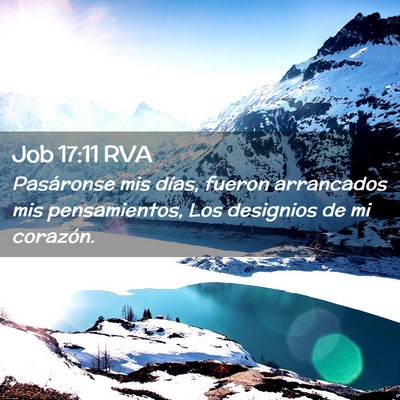 Picture 02 - Job 17:11 RVA - Pasáronse mis días, fueron arrancados mis - Bible Verse Picture