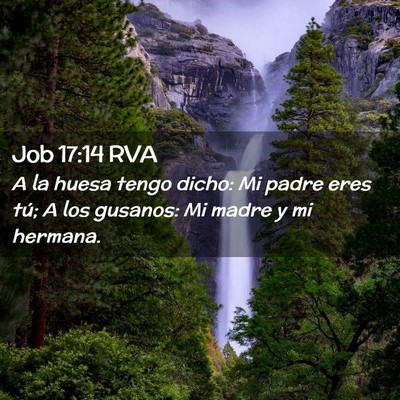 Picture 02 - Job 17:14 RVA - A la huesa tengo dicho: Mi padre eres tú; A los - Bible Verse Picture