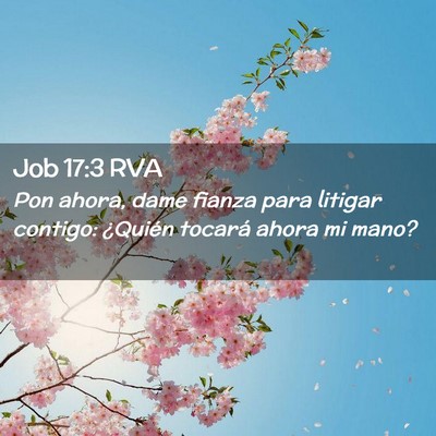 Picture 02 - Job 17:3 RVA - Pon ahora, dame fianza para litigar contigo: - Bible Verse Picture