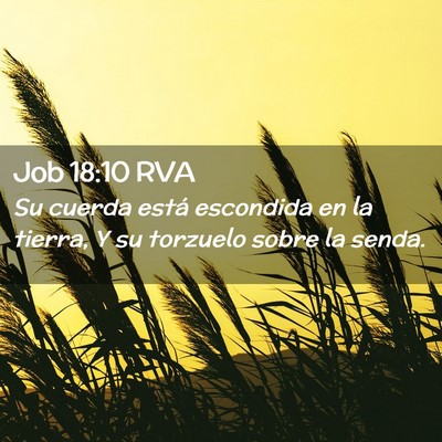 Picture 02 - Job 18:10 RVA - Su cuerda está escondida en la tierra, Y su - Bible Verse Picture