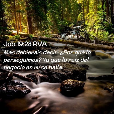 Picture 02 - Job 19:28 RVA - Mas debierais decir: ¿Por qué lo perseguimos? - Bible Verse Picture