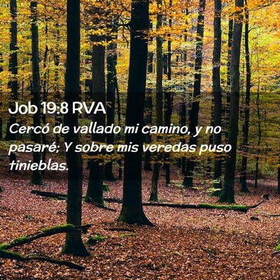 Picture 02 - Job 19:8 RVA - Cercó de vallado mi camino, y no pasaré; Y - Bible Verse Picture