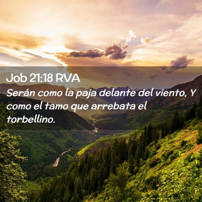 Picture 02 - Job 21:18 RVA - Serán como la paja delante del viento, Y como el - Bible Verse Picture