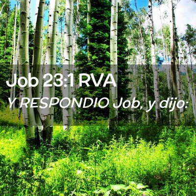 Picture 02 - Job 23:1 RVA - Y RESPONDIO Job, y - Bible Verse Picture
