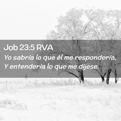 Picture 02 - Job 23:5 RVA - Yo sabría lo que él me respondería, Y - Bible Verse Picture