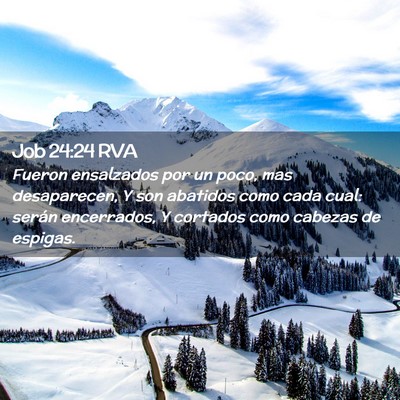 Picture 02 - Job 24:24 RVA - Fueron ensalzados por un poco, mas desaparecen, Y - Bible Verse Picture