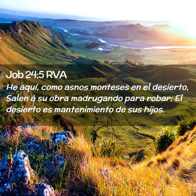 Picture 02 - Job 24:5 RVA - He aquí, como asnos monteses en el desierto, - Bible Verse Picture