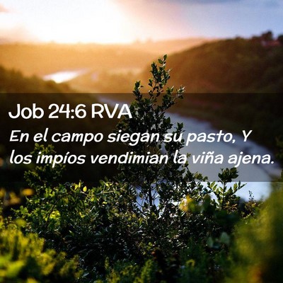 Picture 02 - Job 24:6 RVA - En el campo siegan su pasto, Y los impíos - Bible Verse Picture