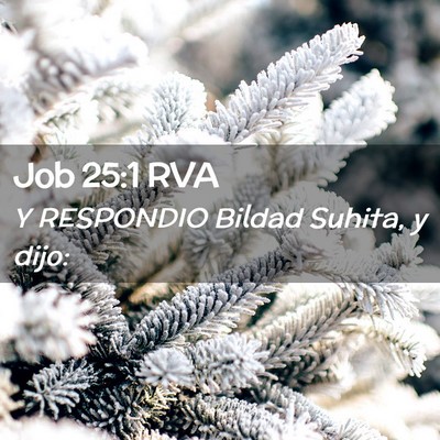 Picture 02 - Job 25:1 RVA - Y RESPONDIO Bildad Suhita, y - Bible Verse Picture