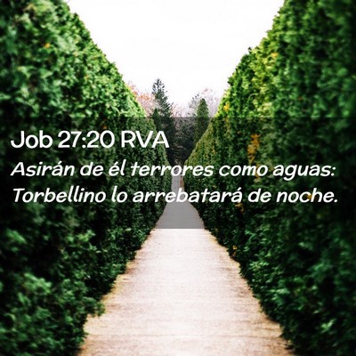 Picture 02 - Job 27:20 RVA - Asirán de él terrores como aguas: Torbellino lo - Bible Verse Picture