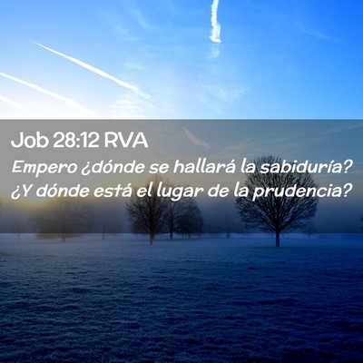 Picture 02 - Job 28:12 RVA - Empero ¿dónde se hallará la sabiduría? ¿Y - Bible Verse Picture