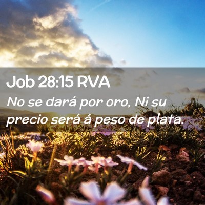 Picture 02 - Job 28:15 RVA - No se dará por oro, Ni su precio será á peso - Bible Verse Picture