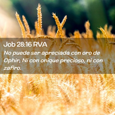 Picture 02 - Job 28:16 RVA - No puede ser apreciada con oro de Ophir, Ni con - Bible Verse Picture