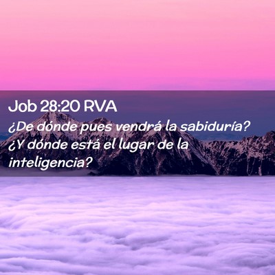 Picture 02 - Job 28:20 RVA - ¿De dónde pues vendrá la sabiduría? ¿Y - Bible Verse Picture