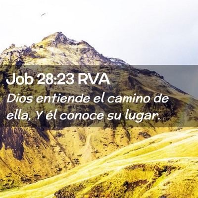 Picture 02 - Job 28:23 RVA - Dios entiende el camino de ella, Y él conoce su - Bible Verse Picture