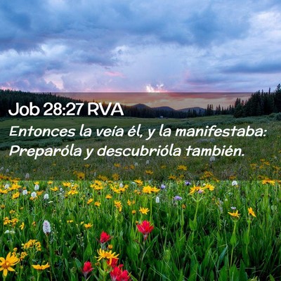 Picture 02 - Job 28:27 RVA - Entonces la veía él, y la manifestaba: - Bible Verse Picture