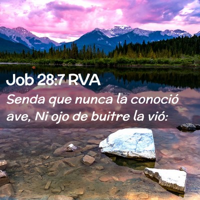 Picture 02 - Job 28:7 RVA - Senda que nunca la conoció ave, Ni ojo de buitre - Bible Verse Picture