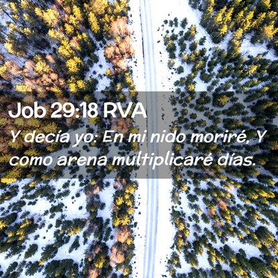 Picture 02 - Job 29:18 RVA - Y decía yo: En mi nido moriré, Y como arena - Bible Verse Picture
