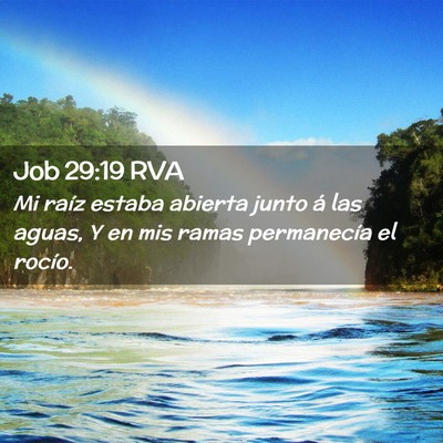 Picture 02 - Job 29:19 RVA - Mi raíz estaba abierta junto á las aguas, Y en - Bible Verse Picture