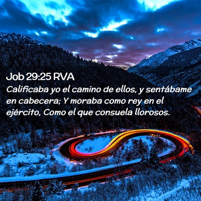 Picture 02 - Job 29:25 RVA - Calificaba yo el camino de ellos, y sentábame en - Bible Verse Picture