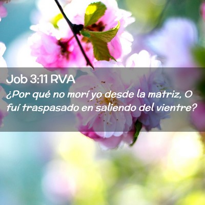Picture 02 - Job 3:11 RVA - ¿Por qué no morí yo desde la matriz, O fuí - Bible Verse Picture
