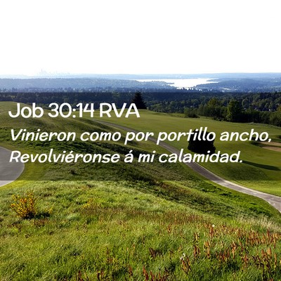 Picture 02 - Job 30:14 RVA - Vinieron como por portillo ancho, Revolviéronse - Bible Verse Picture
