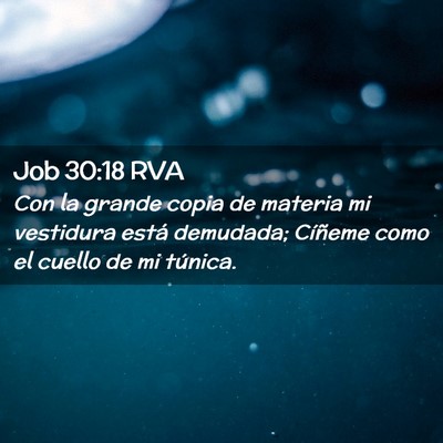 Picture 02 - Job 30:18 RVA - Con la grande copia de materia mi vestidura está - Bible Verse Picture