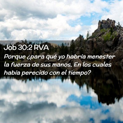 Picture 02 - Job 30:2 RVA - Porque ¿para qué yo habría menester la fuerza - Bible Verse Picture