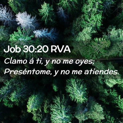 Picture 02 - Job 30:20 RVA - Clamo á ti, y no me oyes; Preséntome, y no me - Bible Verse Picture