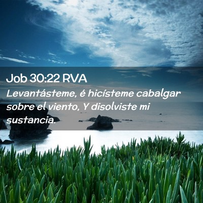 Picture 02 - Job 30:22 RVA - Levantásteme, é hicísteme cabalgar sobre el - Bible Verse Picture