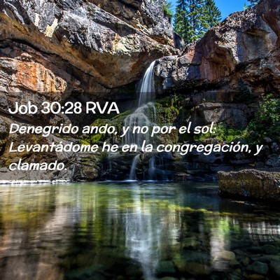 Picture 02 - Job 30:28 RVA - Denegrido ando, y no por el sol: Levantádome he - Bible Verse Picture