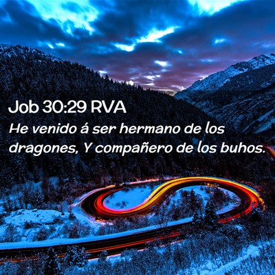 Picture 02 - Job 30:29 RVA - He venido á ser hermano de los dragones, Y - Bible Verse Picture