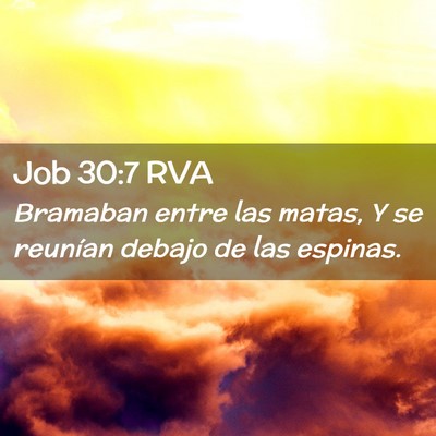 Picture 02 - Job 30:7 RVA - Bramaban entre las matas, Y se reunían debajo de - Bible Verse Picture