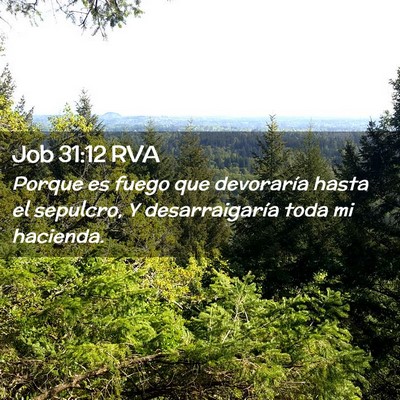 Picture 02 - Job 31:12 RVA - Porque es fuego que devoraría hasta el sepulcro, - Bible Verse Picture