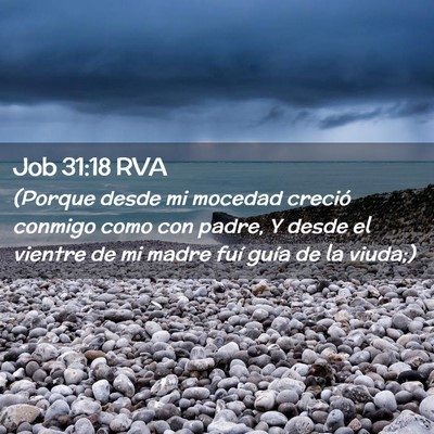 Picture 02 - Job 31:18 RVA - (Porque desde mi mocedad creció conmigo como con - Bible Verse Picture