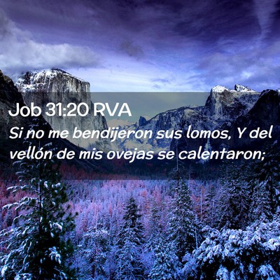 Picture 02 - Job 31:20 RVA - Si no me bendijeron sus lomos, Y del vellón de - Bible Verse Picture