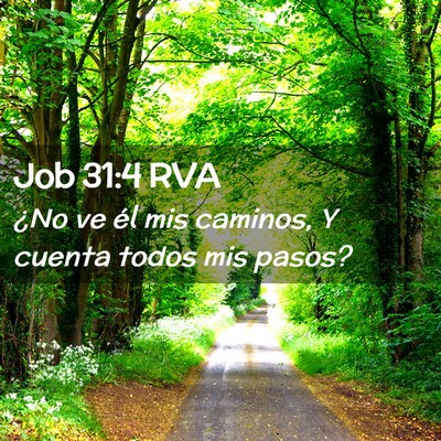 Picture 02 - Job 31:4 RVA - ¿No ve él mis caminos, Y cuenta todos mis - Bible Verse Picture