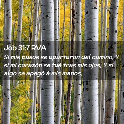 Picture 02 - Job 31:7 RVA - Si mis pasos se apartaron del camino, Y si mi - Bible Verse Picture
