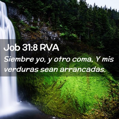 Picture 02 - Job 31:8 RVA - Siembre yo, y otro coma, Y mis verduras sean - Bible Verse Picture