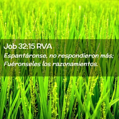 Picture 02 - Job 32:15 RVA - Espantáronse, no respondieron más; Fuéronseles - Bible Verse Picture